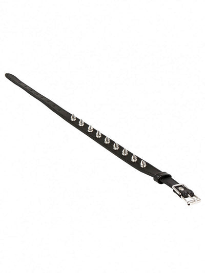 Spike Halsband Schwarz